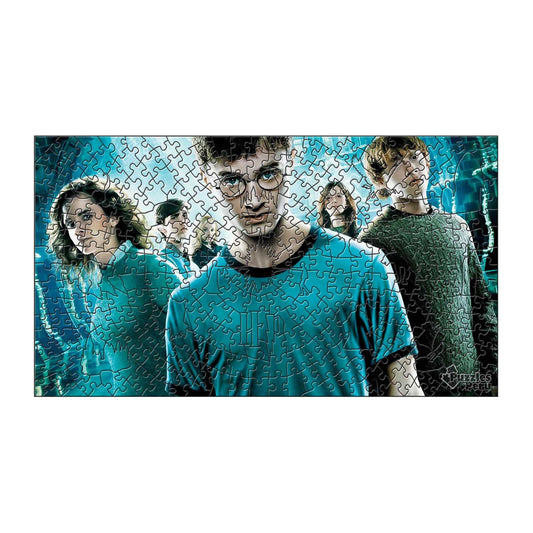 Rompecabezas Pers.Harry Potter C:32.1 Puzzles Peru - M- 339 Pzas / Harry Potter - ROMPECABEZAS