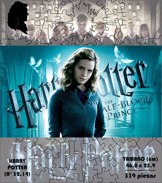 Rompecabezas Pers.Harry Potter C:32.14 Puzzles Peru - ROMPECABEZAS