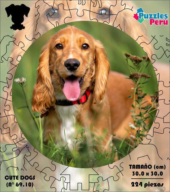 Rompecabezas Pers.Perritos C:69.101 Puzzles Peru - ROMPECABEZAS